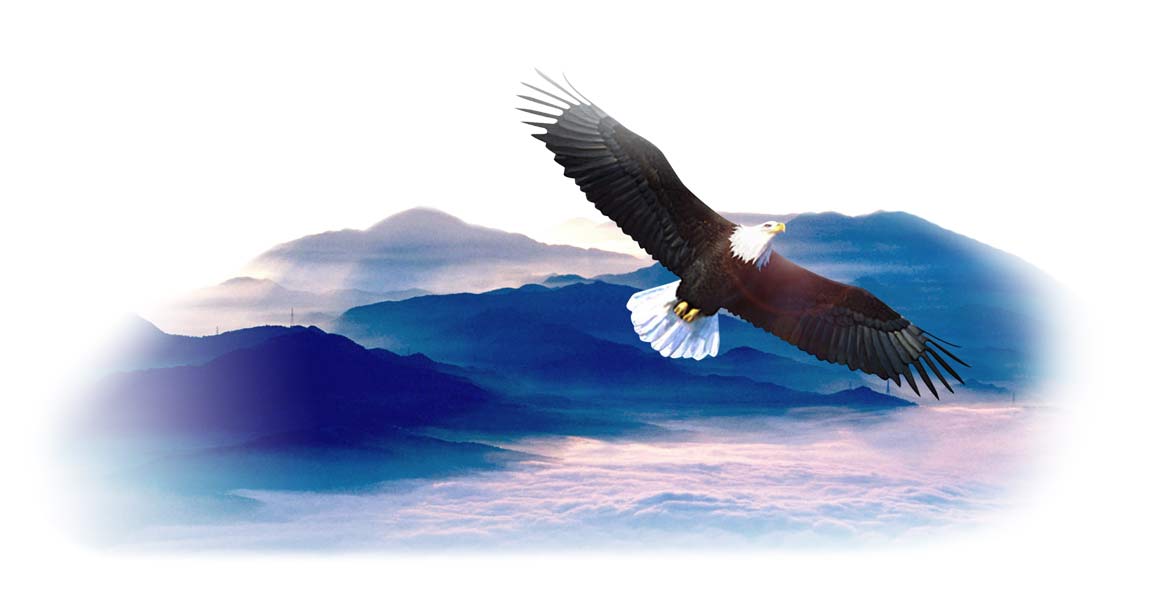 1-200505231953529.jpg 1-200505231953529.jpg